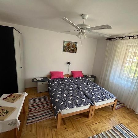 Apartman Velojic Доні-Мілановац Екстер'єр фото